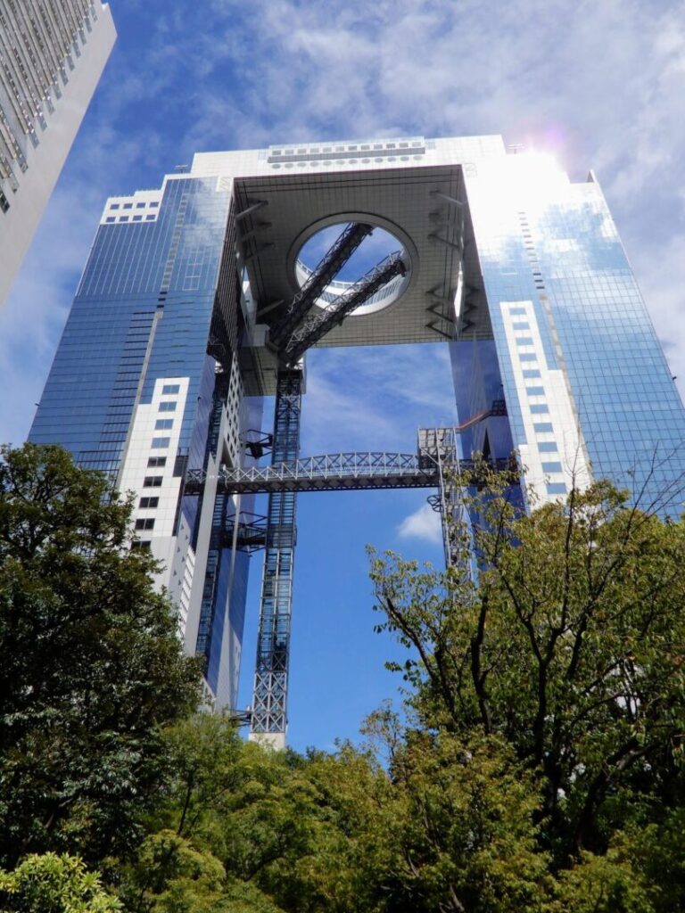 Forêt au pied des immeubles